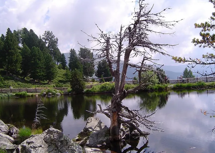 Guest house Landhaus Hinteregger 3*